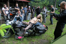 RDPecV8AtR.jpg