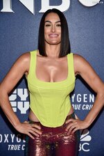 Nikki Bella Sexy The Fappening Blog 11