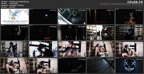 kati3kat-purge-bIZ9ZFKb.mp4.jpg