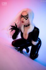 Black Cat 2