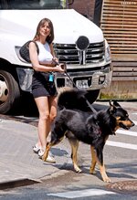 Emily ratajkowski braless walking dog new york 5