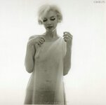 Marilyn monroe 15