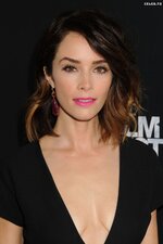Abigail Spencer Cleavage 3