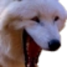 Ifoj