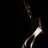 Qwhy
